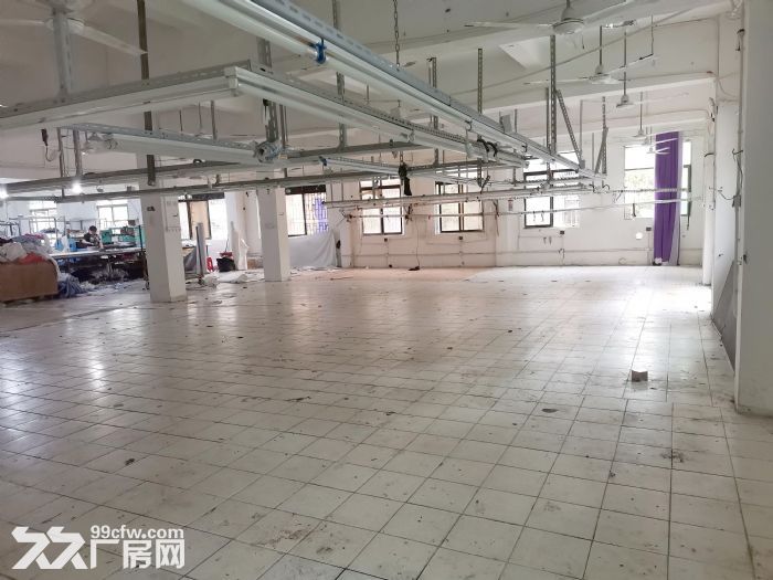 横岗龙岗大道边独院一楼厂房650平，价格优惠，现成服装厂装修 - 2