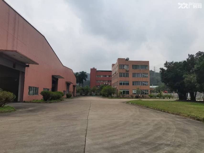 黄埔主干道旁独院红本厂房业主直售 - 4