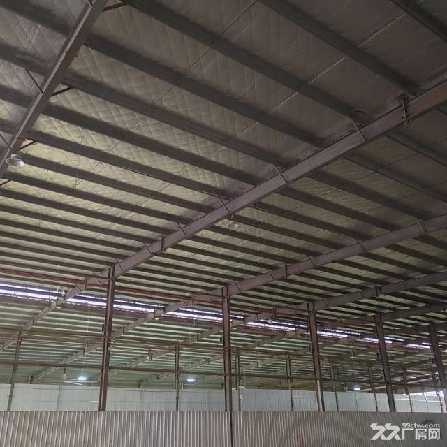 2000㎡单层钢构厂房出租 房东直租价格便宜 - 6