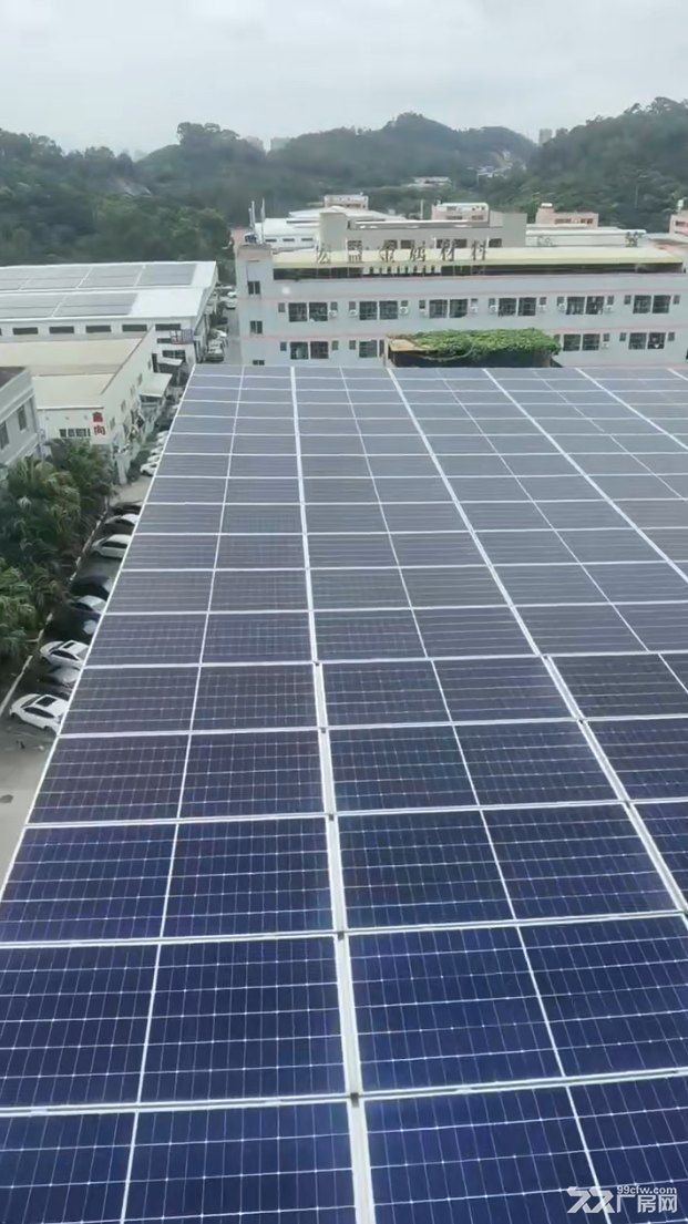 大朗金鸡路旁厂房+宿舍出售(集体合同)距离高速收费站1公里