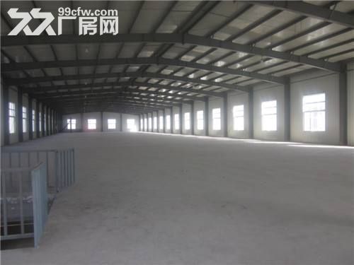 3.湖熟工业园.一楼4800平米.独栋高9米,框架结构厂房.仓库出租 - 6