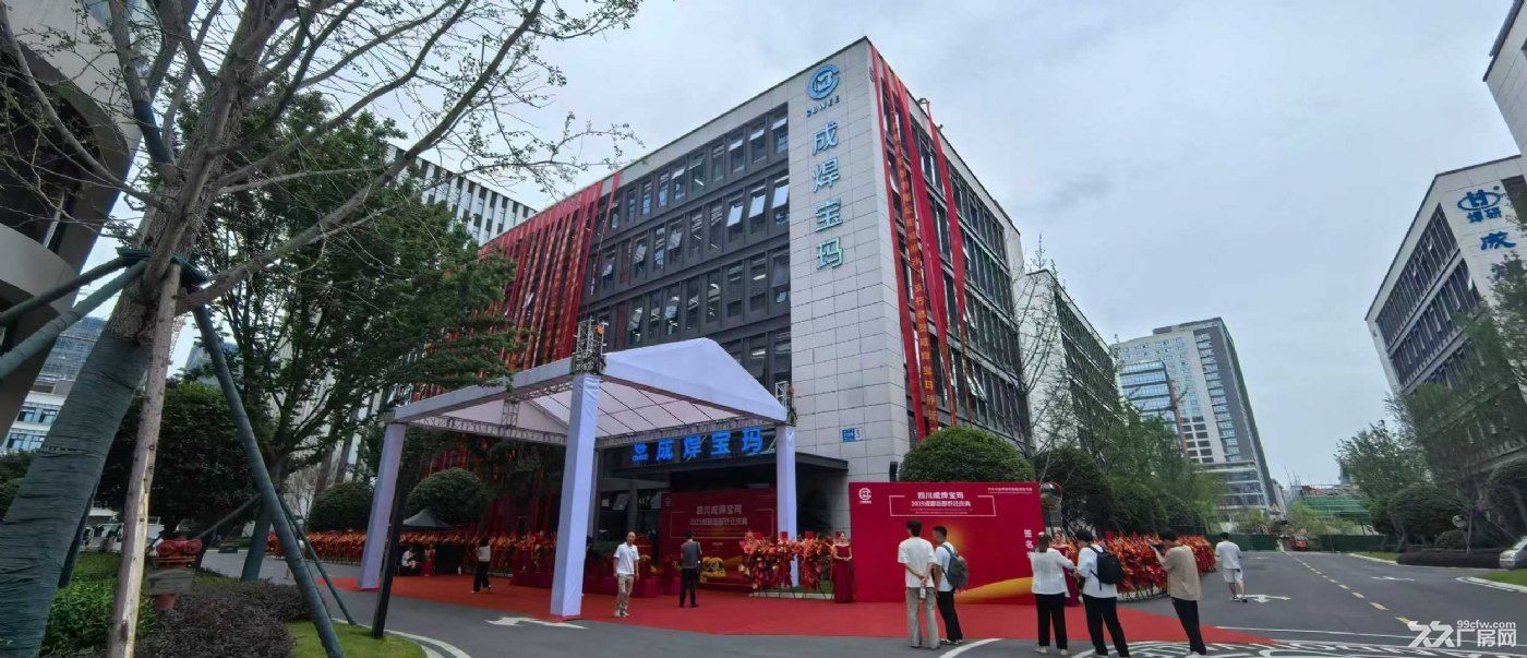 成都温江独栋厂房招商 有产权可转让 低首付可按揭 - 4