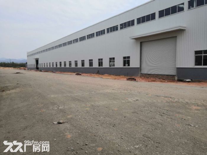 江门台山工业新城独院空地大50000平方厂房仓库招租 - 8