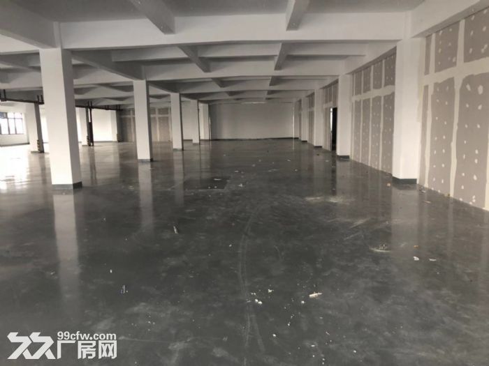 金汇业主直租2500平大小好分割形象高大上有环评 - 4