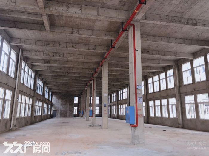 4600平蔡甸厂房出售，框架结构，层高8米，行吊+人货分流+电梯