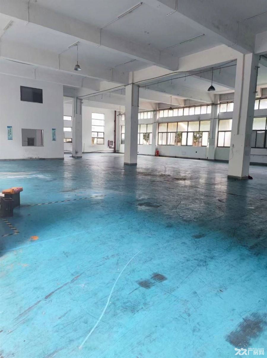 南汇工业园区花园式厂房 单层1100平 104板块可办环评 - 5