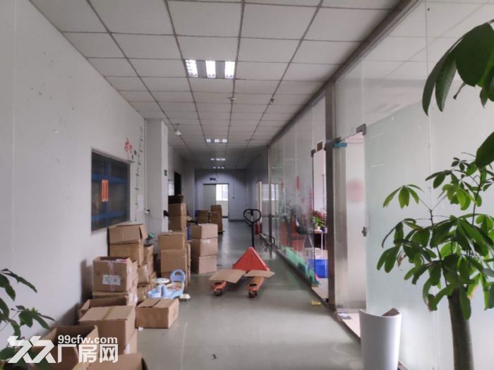 凤岗天堂围西旺楼上厂房出租2200平 毛刷 包装硅胶电子组装 - 2