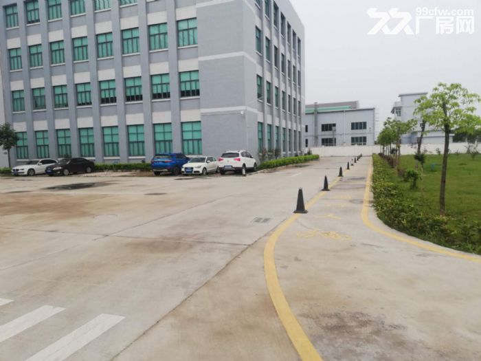 江门蓬江荷塘现装修贸易办公型厂房仓库1000至5000出租