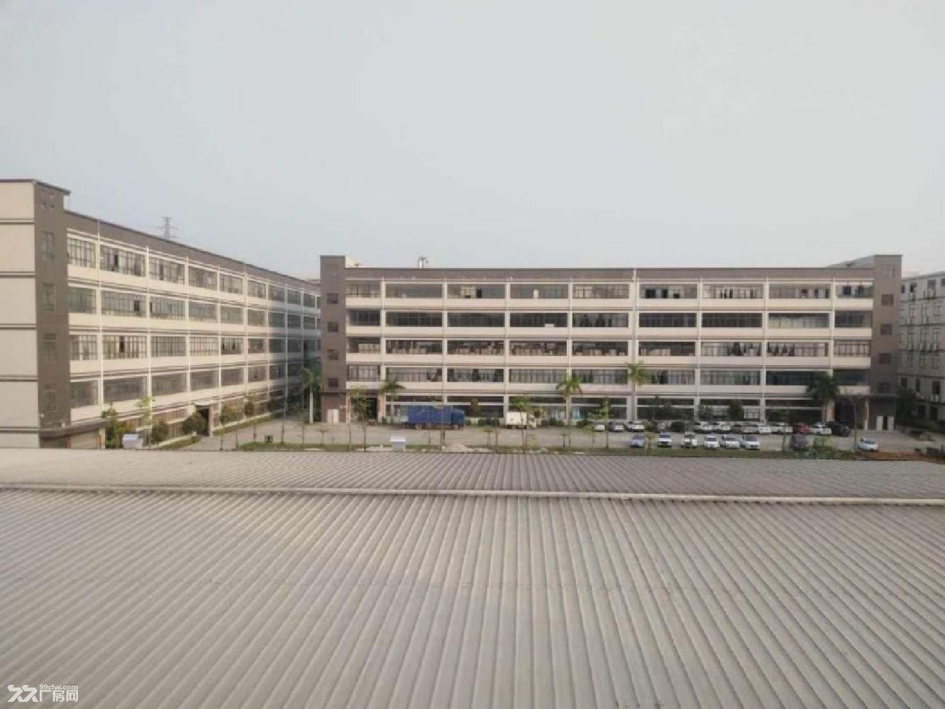 清溪大型工业园红本厂房单层5600平出租 - 5