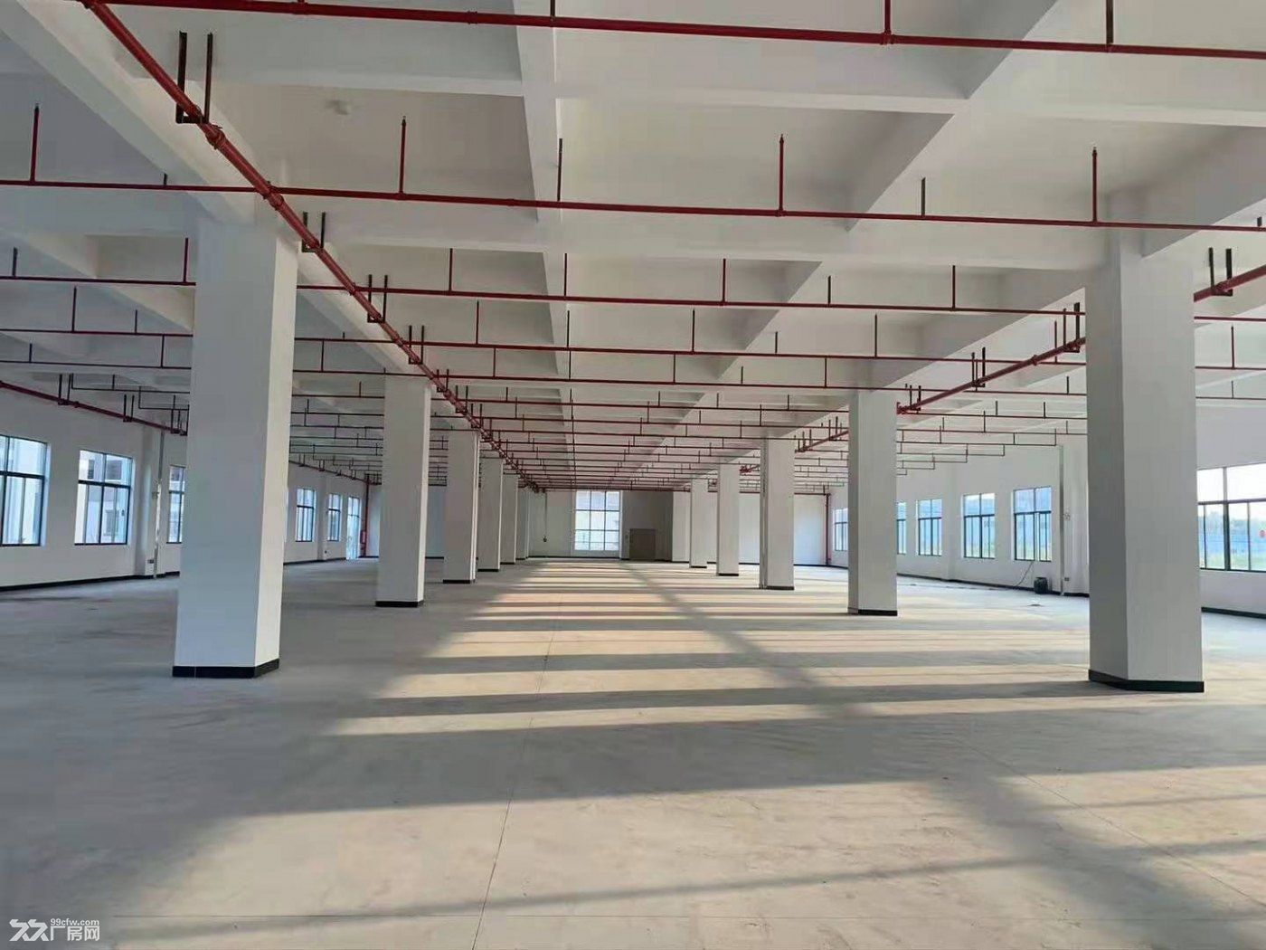 《惠》惠州市博罗县泰美附近 原房东全新产业园招商园区建筑面积80000㎡ - 6