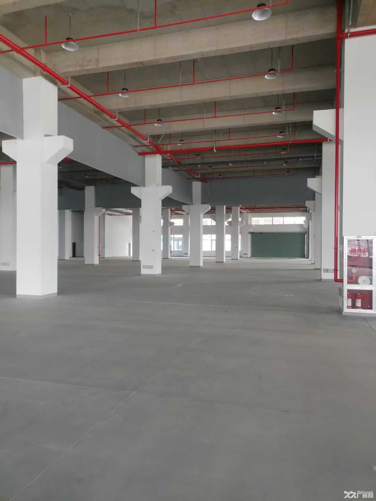 太仓璜泾新建标准产业园厂房出租 - 5