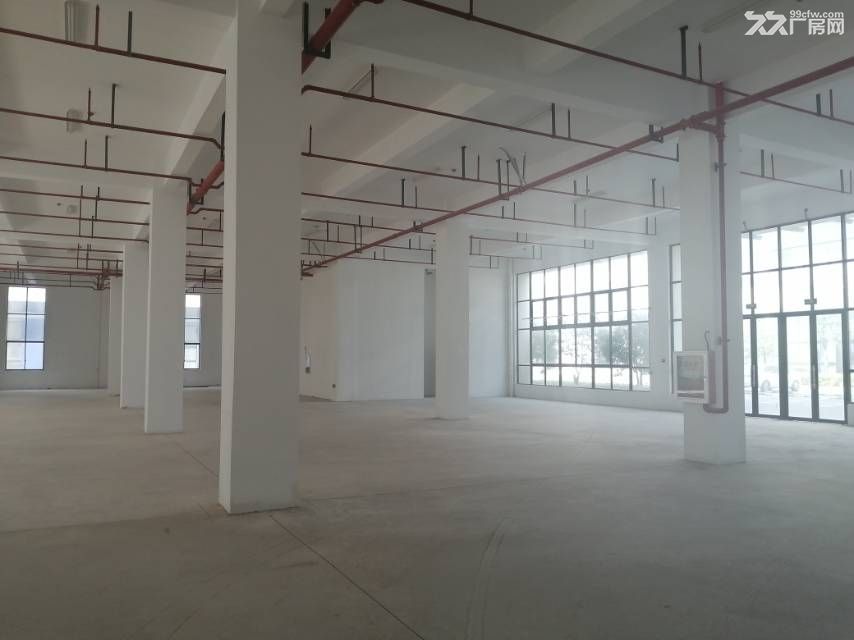 南通苏锡通园区标准园区厂房出租哦1500平可分层可整栋 - 7