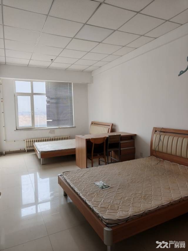 沈阳市浑南区浑南东路建筑大学附近917㎡办公楼宿舍出租 - 2