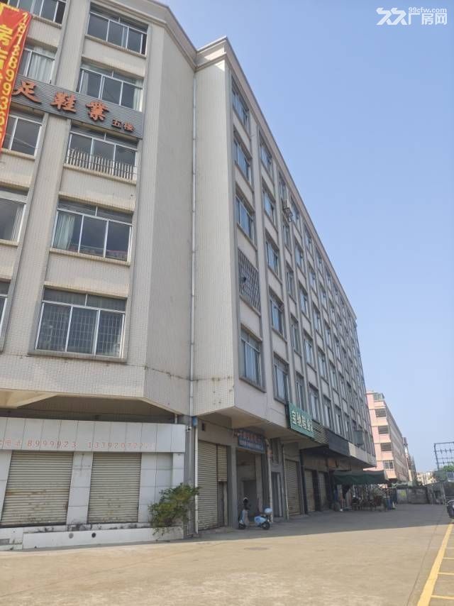 鹤山大道核心枢纽,镇南工业区,交通配套全,房东直租 - 2
