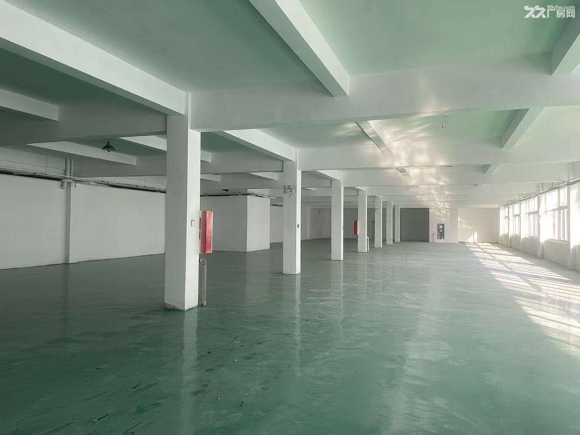 近水果市场，二楼带环氧地坪，面积可分割 - 2