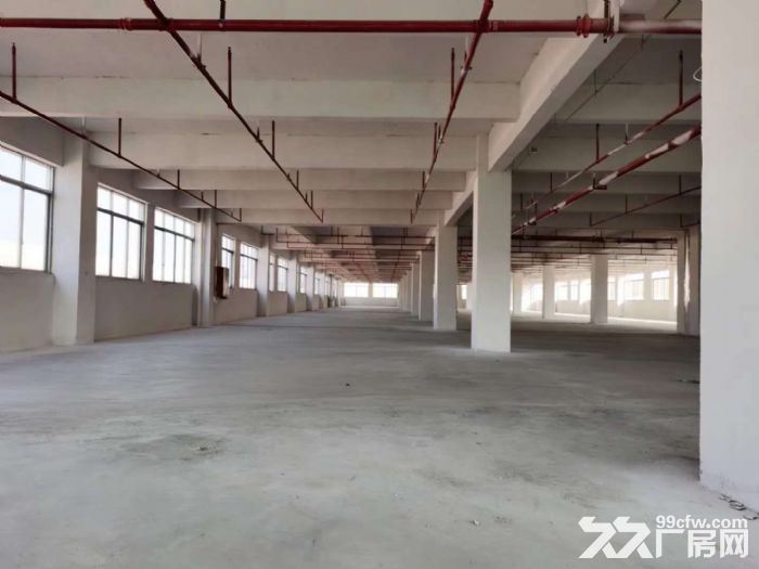 台山水步文工业区独院标准配甲级喷淋消防厂房1800平方招租 - 3
