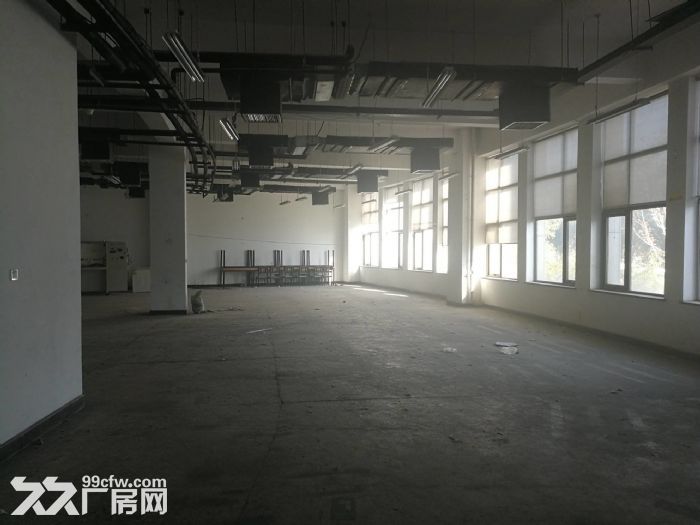一层无地下 有物流门 可立项环评 仓储 轻加工 组装 - 6
