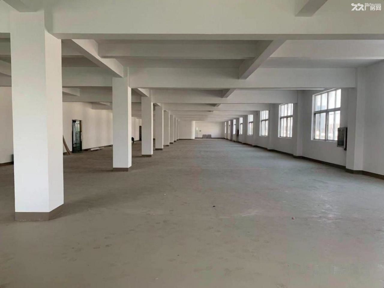 嘉定-安亭 于塘路/宝安公路(路口) 正规 不后悔的选择 - 4