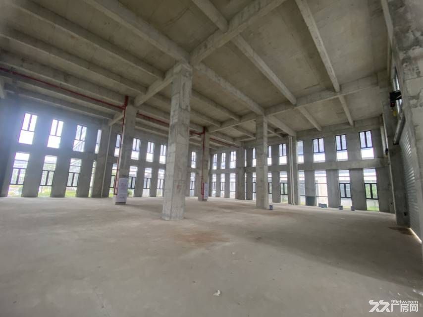 龙文盈科智谷产业园3520㎡标准厂房出租 - 4