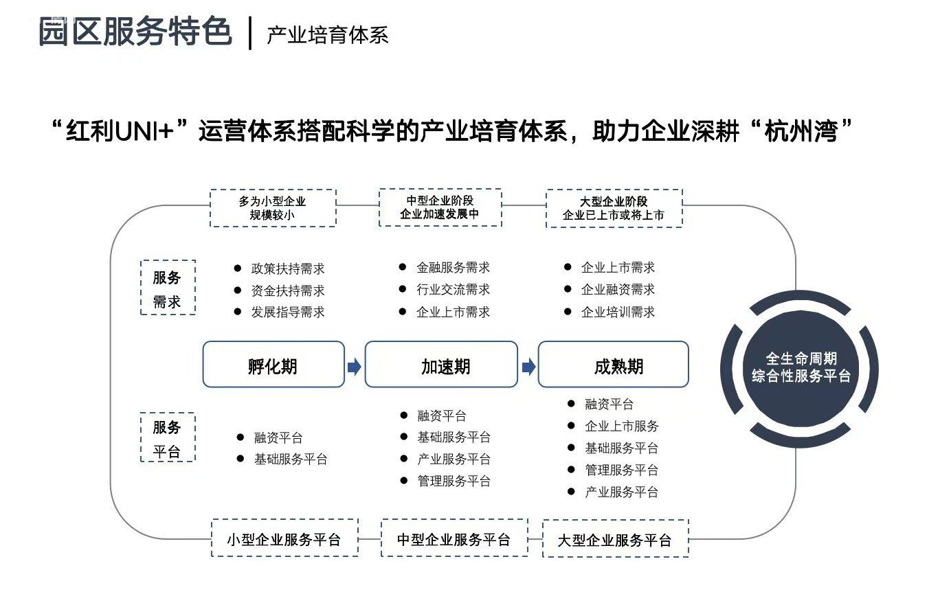 萧山全新厂房出租 企业总部 跨境电商 直招无中介费 - 3