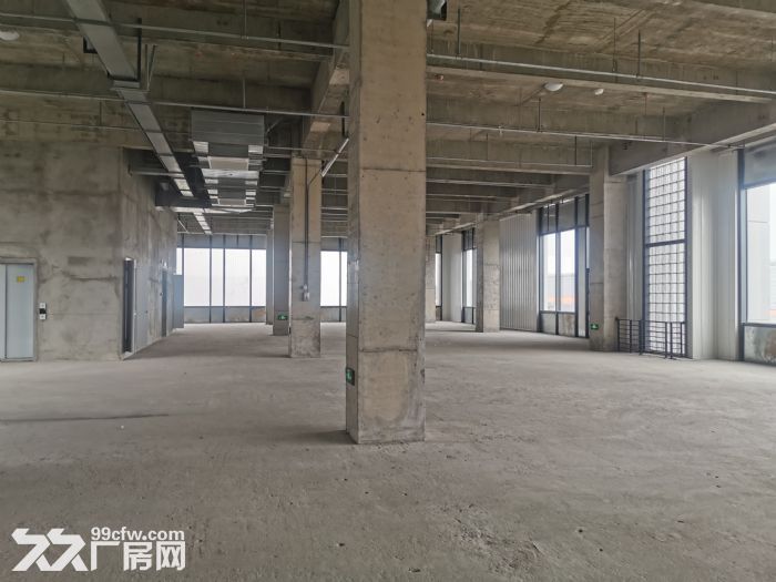 临港3000平到15000平高新医药生产生物制药研发仓库 - 2