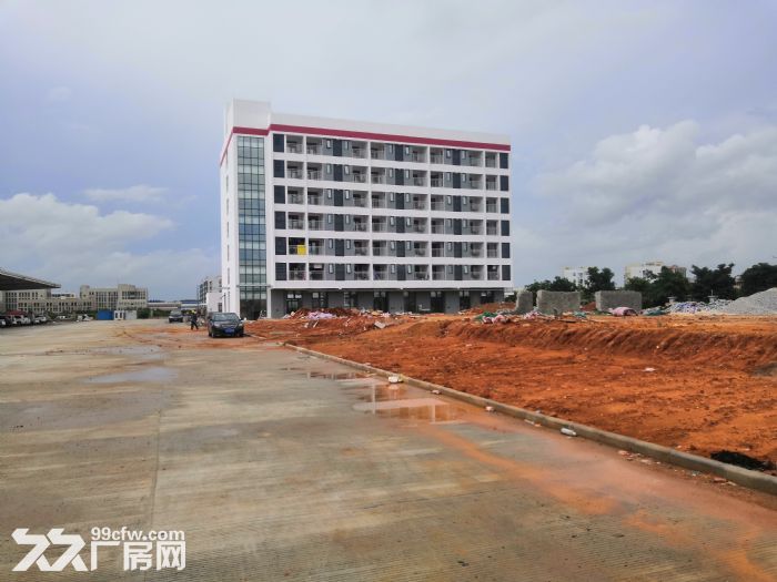 江门台山工业区50000平方单一层12米高钢结构厂房仓库招租 - 7