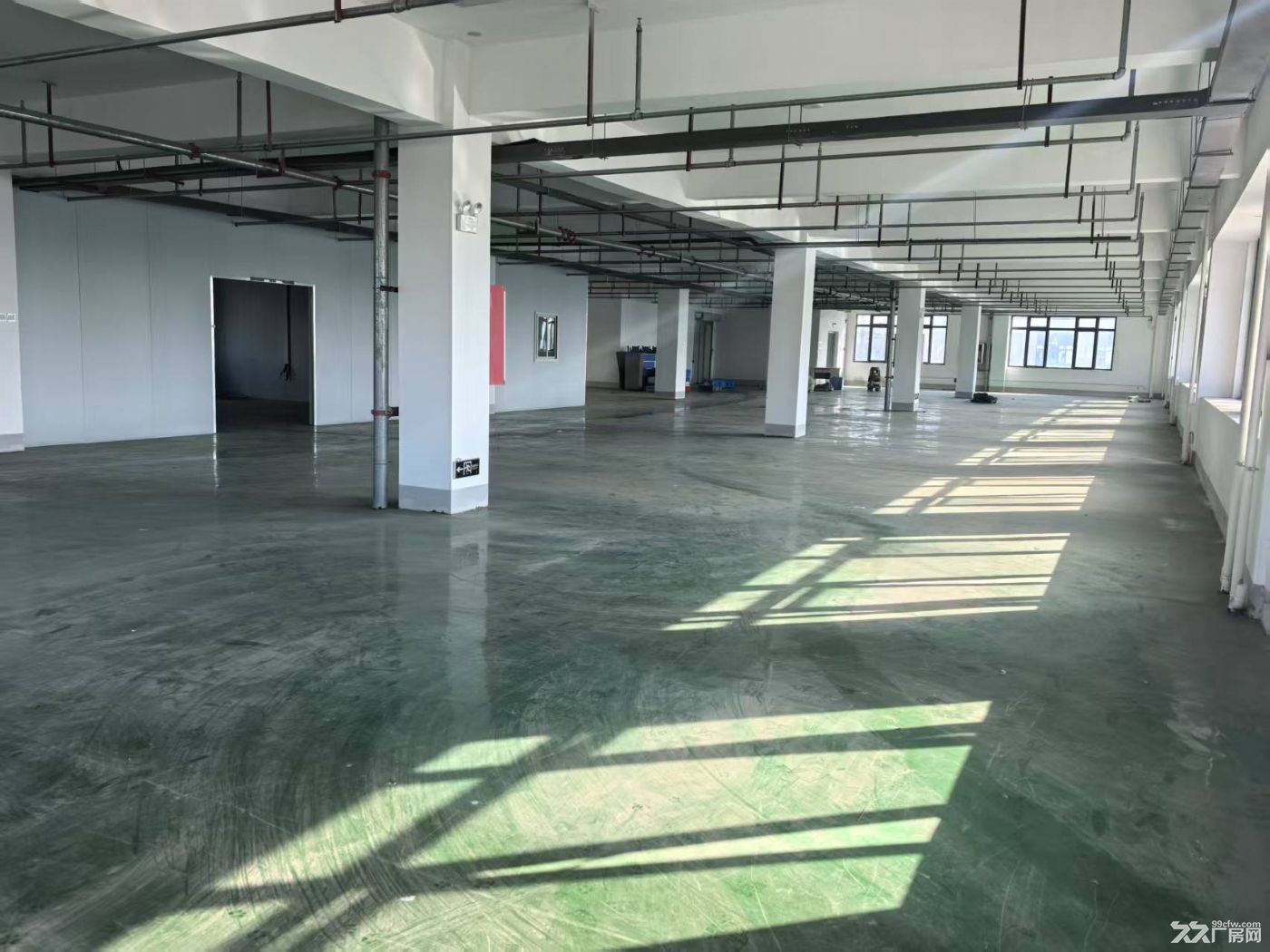 新站标准厂房300至920平,可分租,地坪已做办公室已隔 - 3