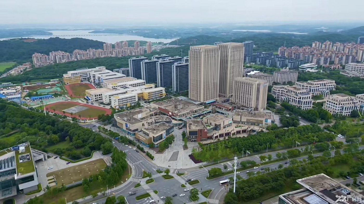 地铁口 研发办公小独栋出租 软件信息数字经济产业聚集地 光谷软件新城