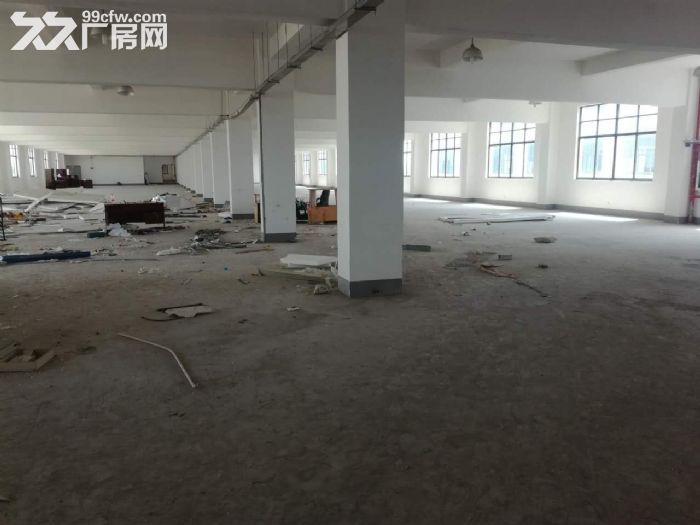 南桥标准厂房1500平无税收要求 - 4