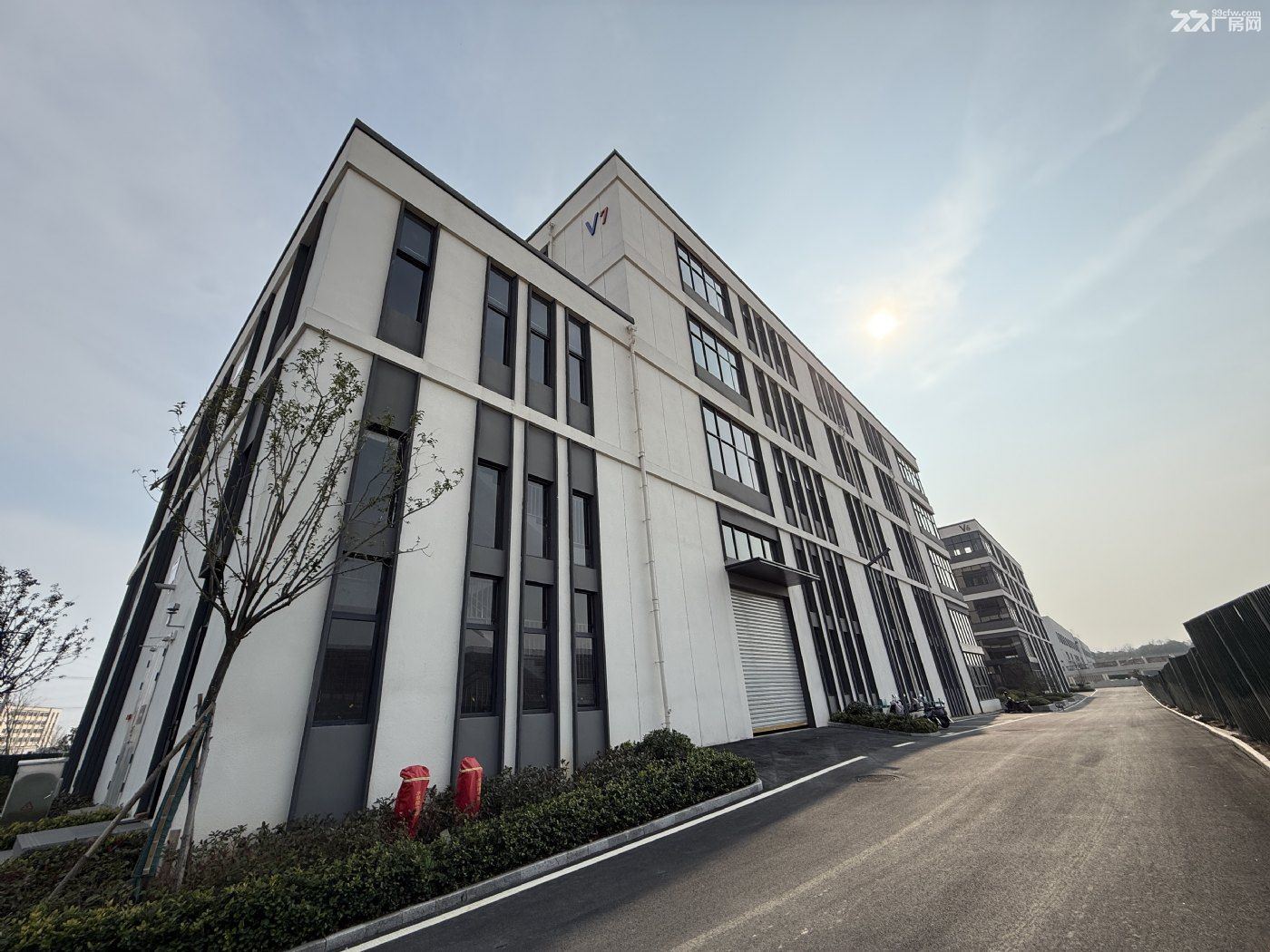 高标准厂房层高荷载均可定制 - 6