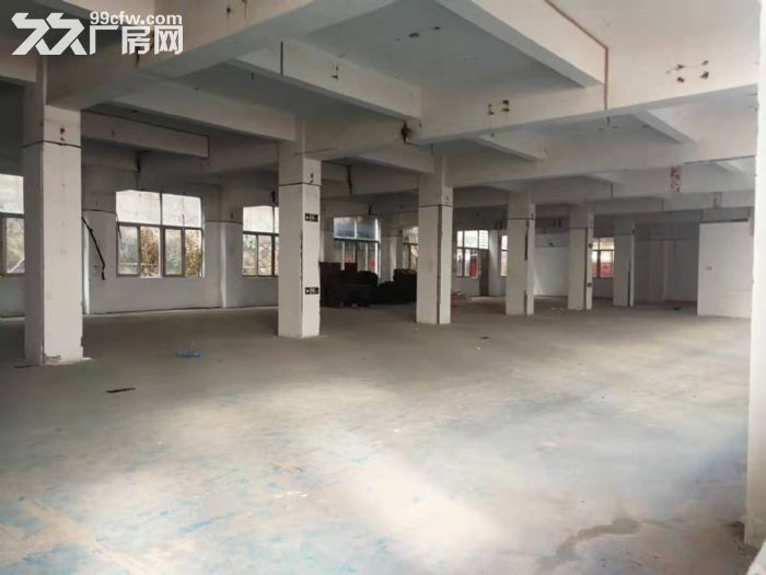 岛内稀缺房产独门独院5层3500平加院子空地800平出租 - 2
