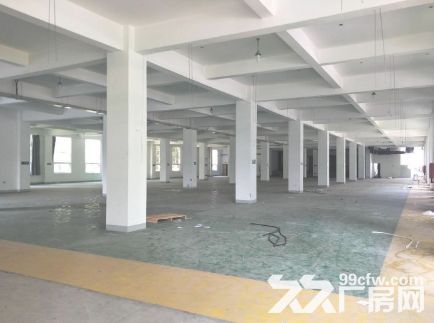 海沧区海景东路5层厂房480-2800平招租 - 4