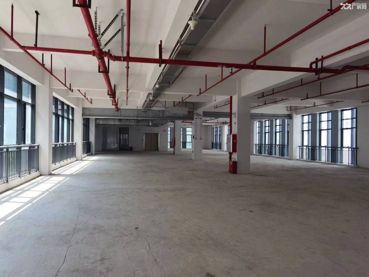 江门市高新区厂房出租,厂房办公配套齐全,交通便利,形象良好 - 4