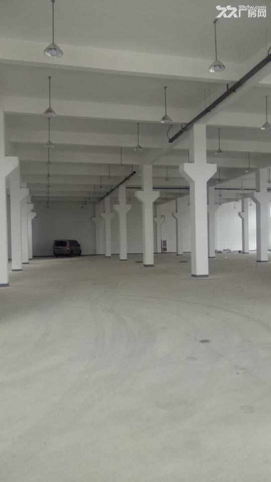 滨海工业区土地23亩 建筑15000平层高9米有行车 - 2