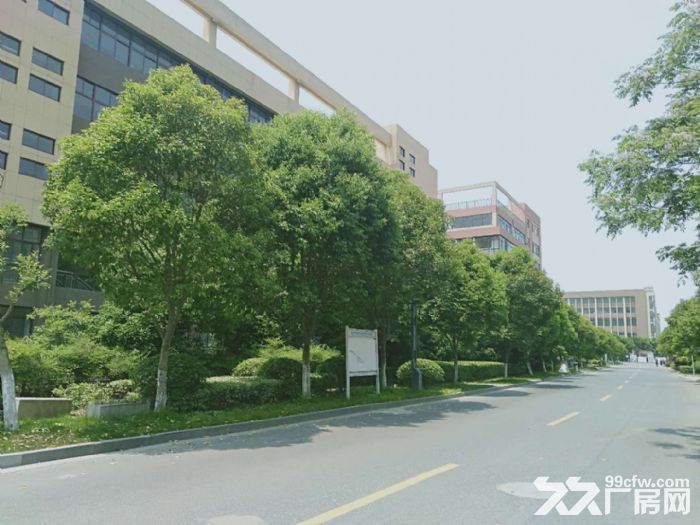 （个人）3000平起厂房，50年产权可按揭 - 6