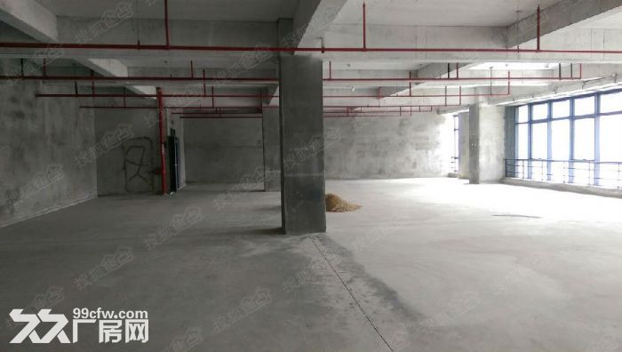 104地块，浦东金桥实验室，可环评，研发生产试验均可，带通风橱，可接上下水 - 5