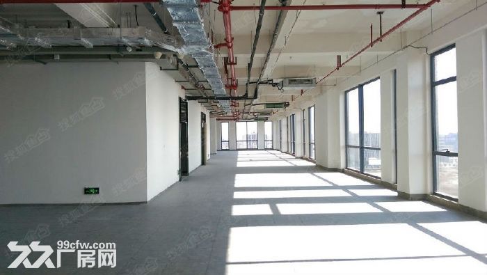 浦东金桥实验室,104地块,可环评,生产研发均可,生物医药实验,医疗器械生产 - 7