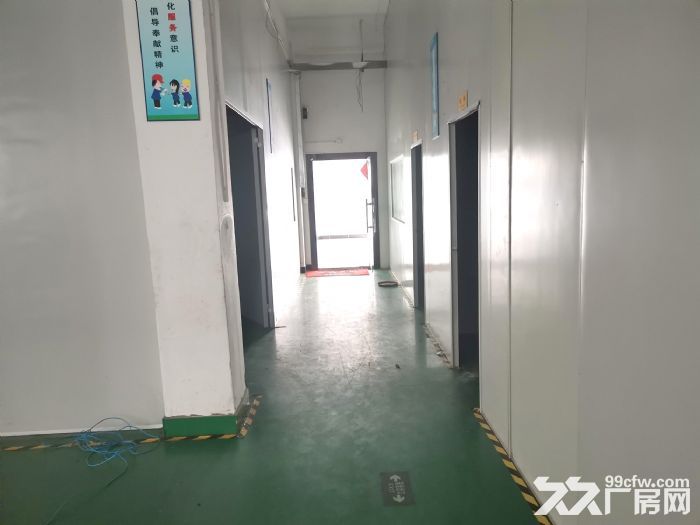 观澜环观南路边一楼精装厂房1100平,高5.5米,带办公区、地坪漆,停车免费 - 3