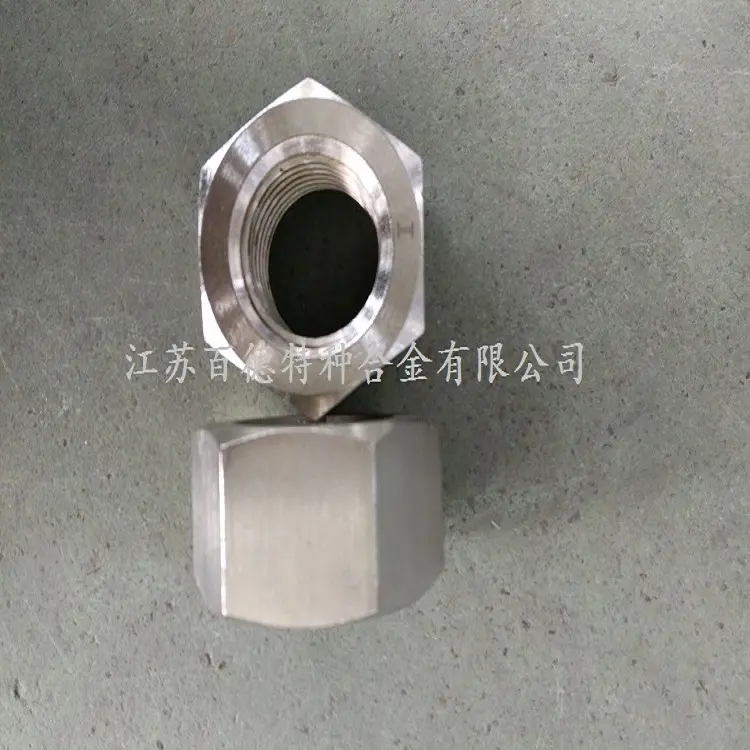 百德英科耐尔合金Inconel600六角螺母紧固件 - 2