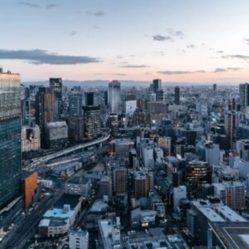 全球与中国电井式炉市场现状调查及投资风险展望报告2024-2030年 - 2
