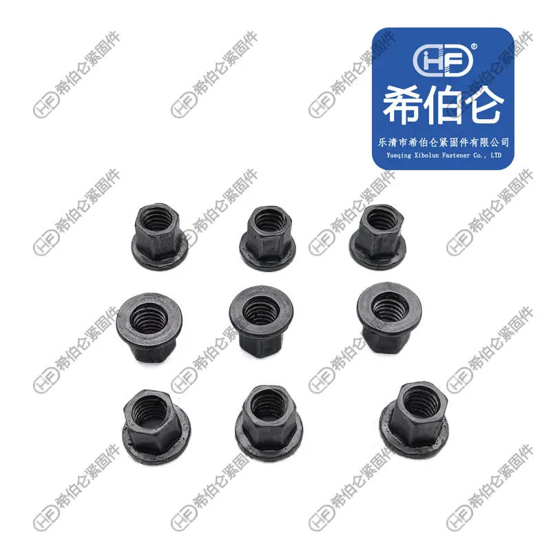 希伯仑冷镦加工美制六角法兰T型螺母 - 2