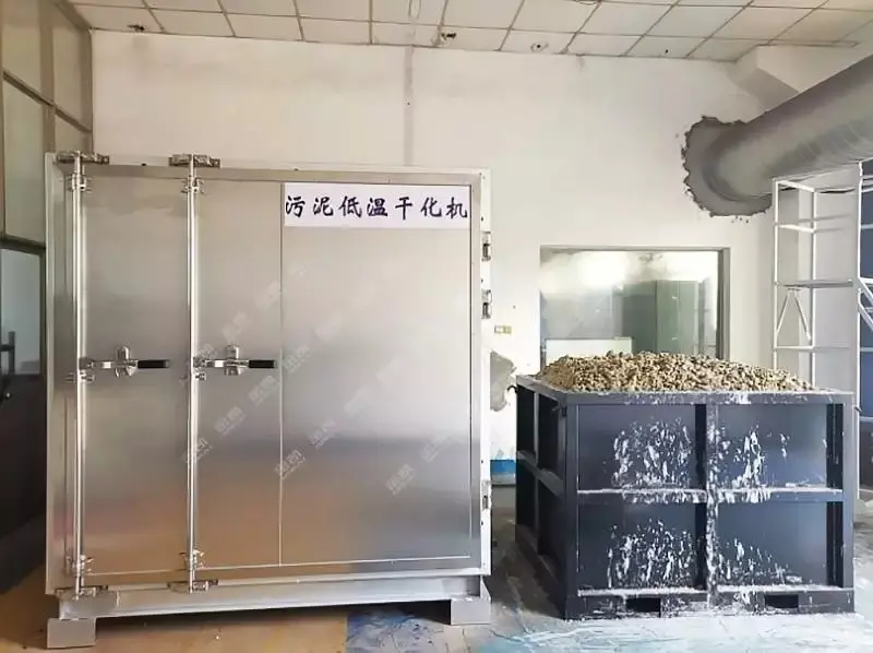 1561974474.jpg