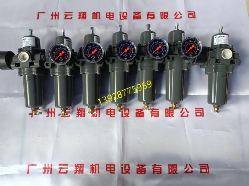 费希尔67CFR-601过滤减压阀不带压力表 - 2