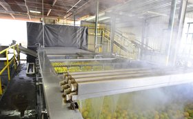 果蔬采后装备水果分选设备 杀菌热处理保鲜清洗机