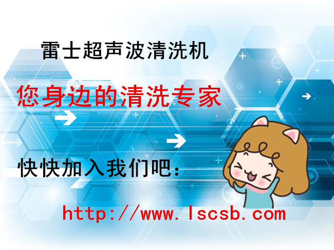 供应雷士振板式超声波清洗机 - 2