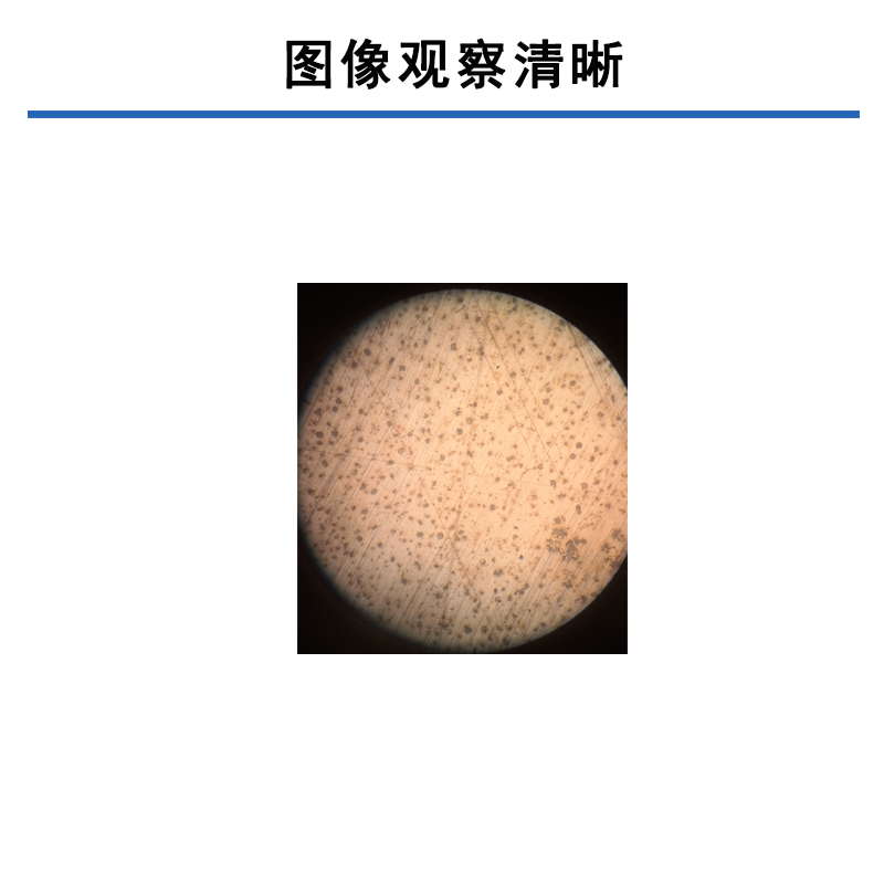 耐热钢板低倍组织检验 顶端刚金相测试 金相显微镜双目三目 - 4