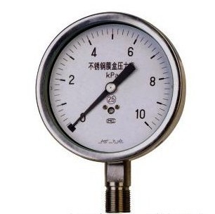 YE-100不锈钢膜盒压力表