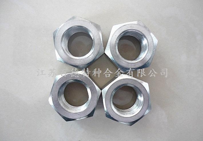 百德耐蚀合金Nitronic60六角螺栓螺母 - 4