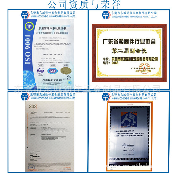专业生产小螺丝（微型）自攻螺丝/机螺钉全国批量销售 - 2