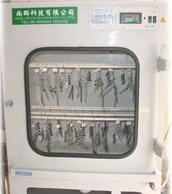 不锈钢钻尾螺钉